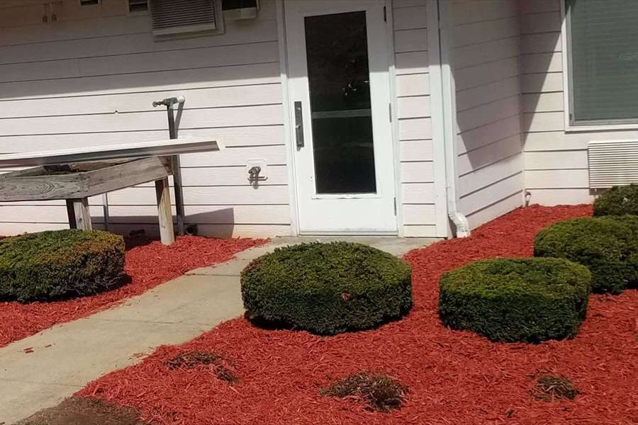 IMG Shrubs red