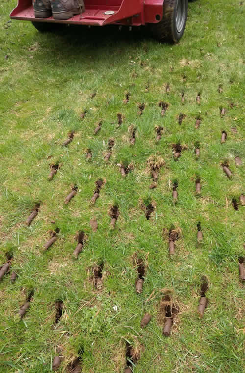 Aerating & Overseeding Eleva WI