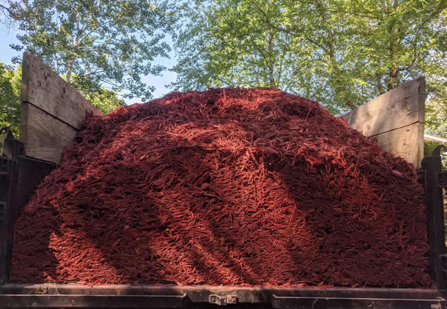 Benefits of Mulching Your Landscape