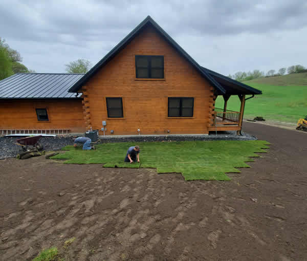 Benefits of Sod