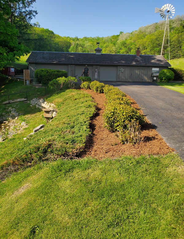 Clean, Defined Trimming That Improves Curb Appeal