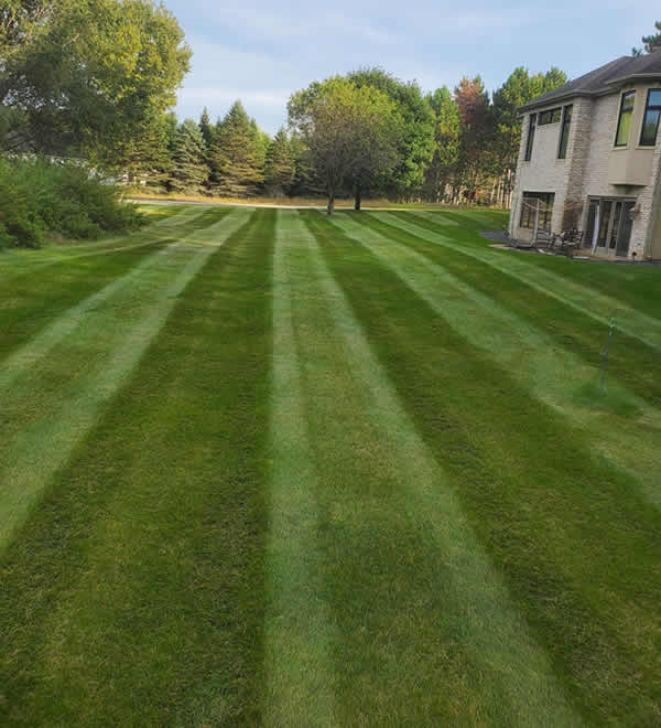 Consistent Lawn Care That Keeps Everything Under Control