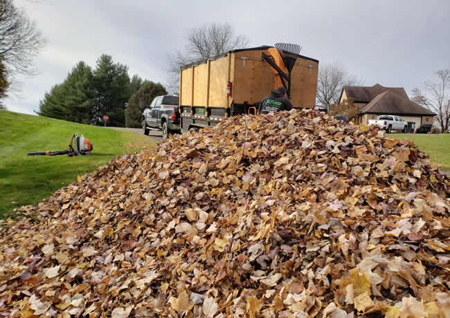 Fall Cleanup to Start the Season Right