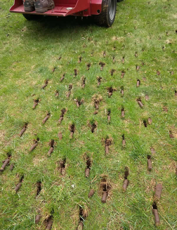 Break Up Compacted Soil and Improve Lawn Health