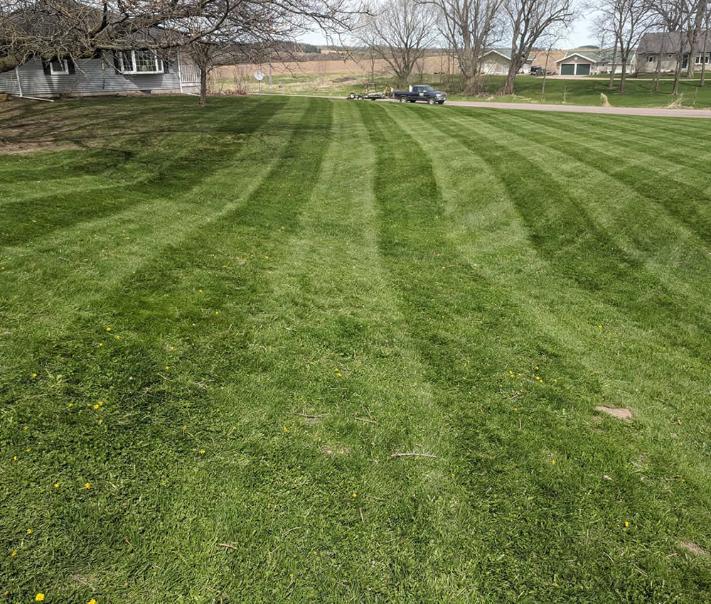 Aerating & Overseeding Services WI