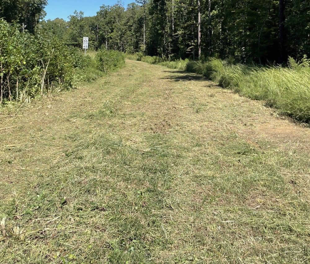 Brush Mowing Services WI