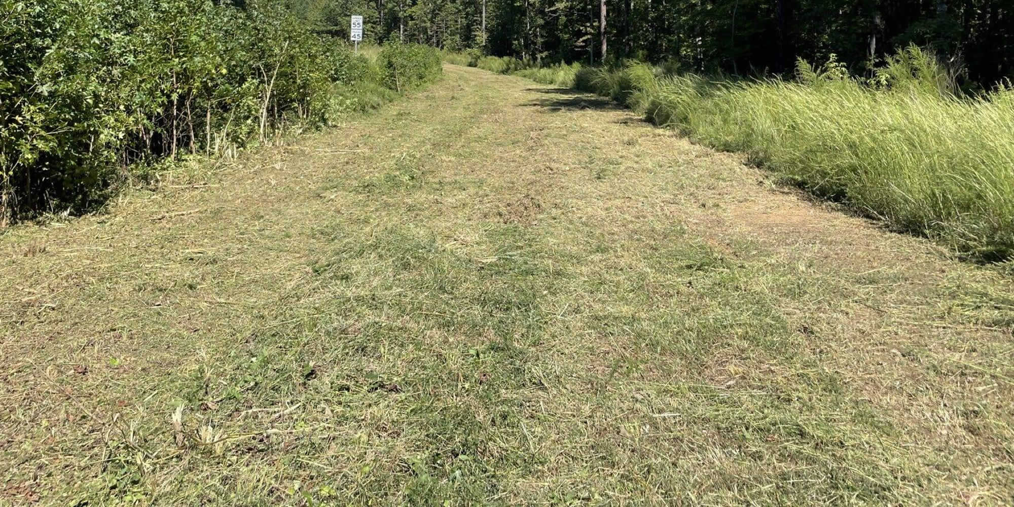 Brush Mowing Services WI