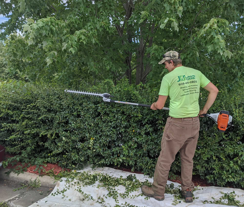 Shrub & Hedge Trimming Services WI