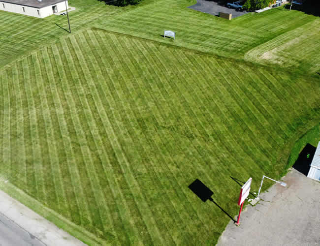 Lawn Mowing That Supports Healthy Grass Growth