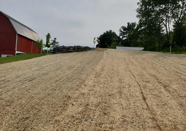 Lawn Seeding Services