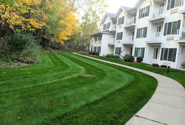 Mowing, Trimming & Edging Done the Right Way