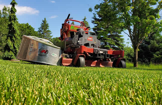 New Lawn Installation Sod