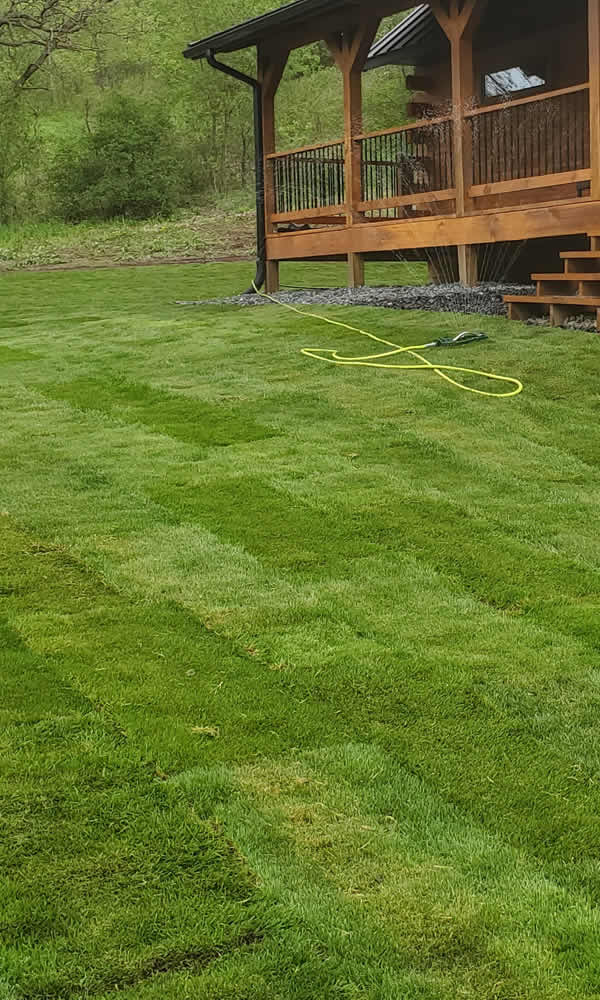 New Lawn Installation Sod & Seeding Eleva WI