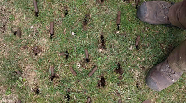 Professional Aerating & Overseeding Company