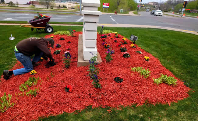Professional Garden Planting Company