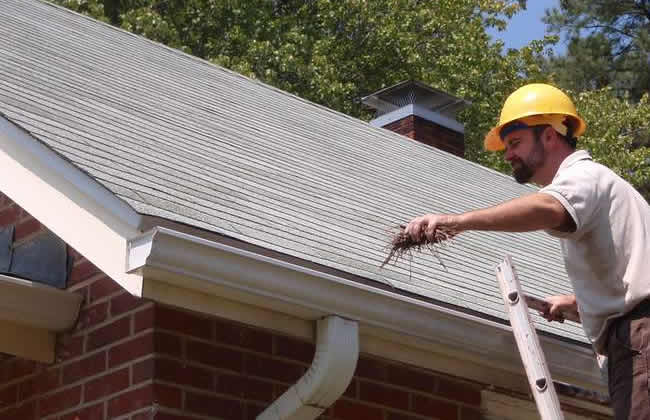 Professional Gutter Cleaning Company