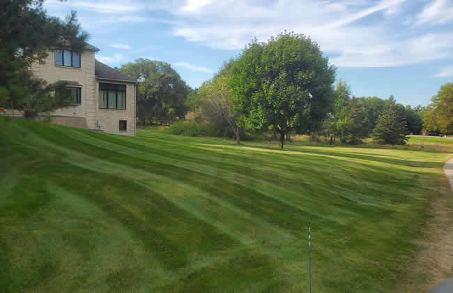 Professional Lawn Maintenance Company