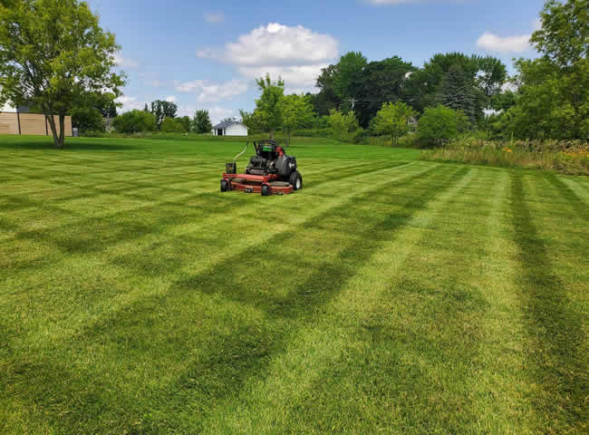Professional Lawn Mowing Company
