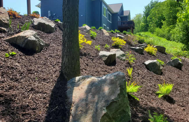 Professional Spring and Fall Leaf Cleanup Company