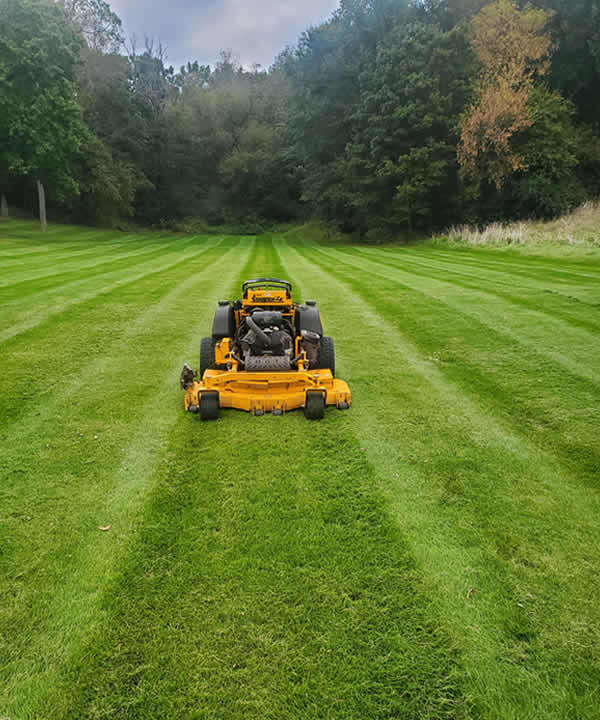 Reliable Lawn Mowing That Keeps Your Property Looking Sharp