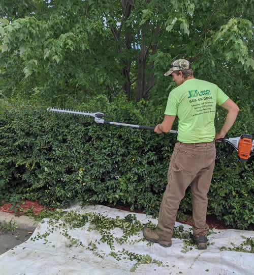 Shrub & Hedge Trimming Eleva WI