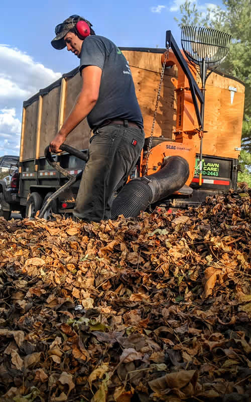 Seasonal Spring & Fall Cleanups Eleva WI