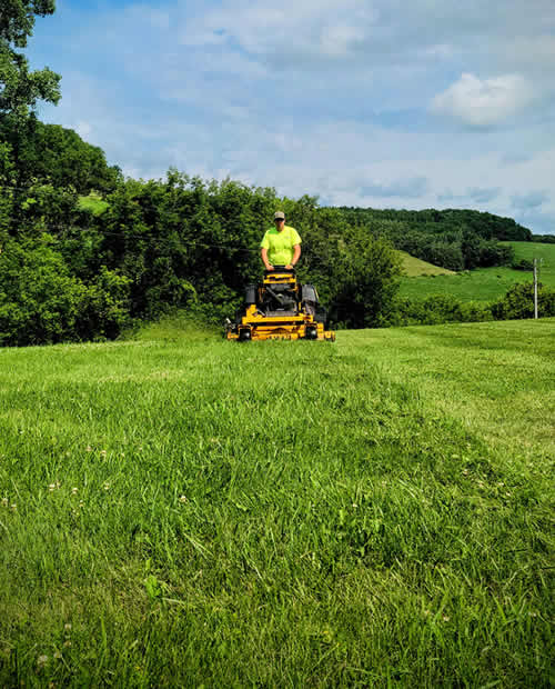 Why Hire a Professional Lawn Care Company